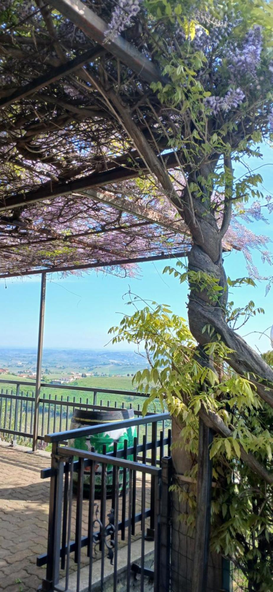 Casa Vacanza Il Colle Del Vento Calosso Extérieur photo